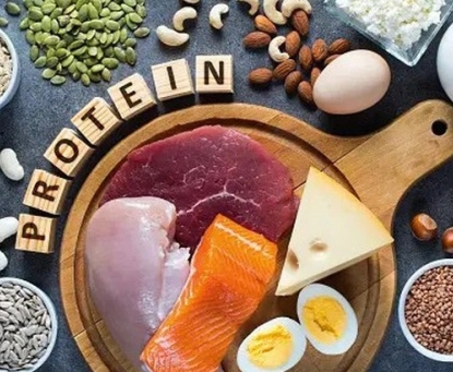 Vai trò của chất đạm trong chế độ ăn sau phẫu thuật nội soi thu nhỏ dạ dày